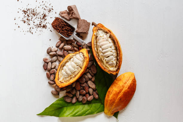An array of delicious chocolate bars, truffles, and cocoa-based treats.Bowl of cocoa powder and chocolate mix, essential ingredients for baking.