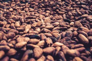 Cocoa Powders